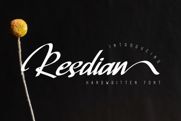 Resdian: A Dazzling Script Handwritten Font for Digital Design