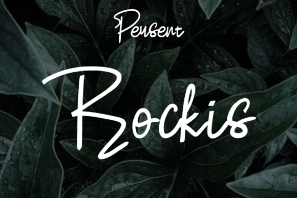 Rockis: A Modern Script Typeface for Elegant Branding
