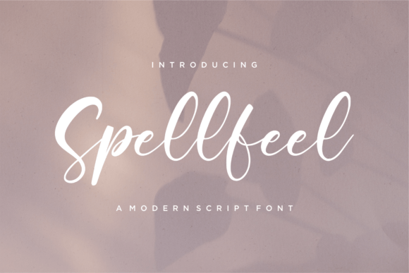 Spellfeel: A Modern Script Font for Thoughtful Editorial Design